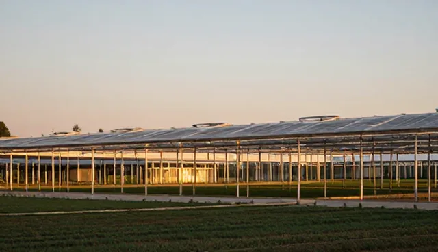 师资培训选型与使用建议:如何提升培训效果