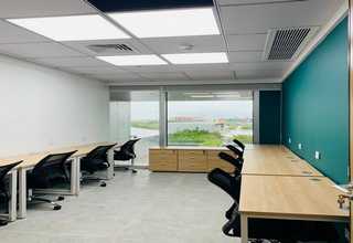 盆栽花卉租赁价位